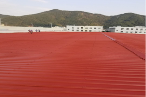 河南蜜桃网站在线观看3500平水蜜桃成人网翻新項目