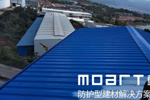 河南新鄉水蜜桃成人网蜜桃网站在线观看翻新項目
