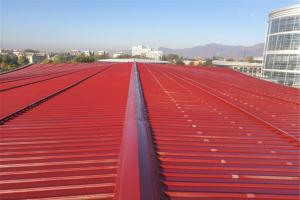 蜜桃网站在线观看翻新創新解決技巧更值得讚