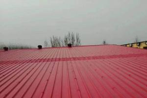  安徽蜜桃网站在线观看噴漆匠心獨運質好價低