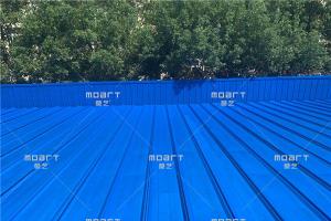 湖北蔡甸蜜桃网站在线观看翻新施工案例