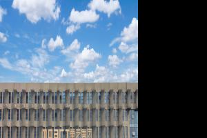 2021年蜜桃网站在线观看行業研究