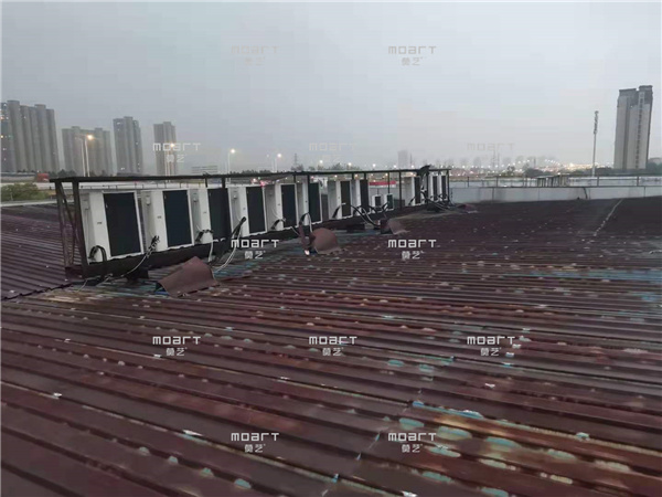 南昌水蜜桃成人网翻新