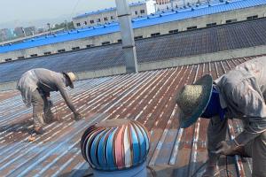 蜜桃网站在线观看噴漆翻新用什麽漆好