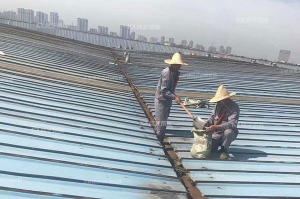 蜜桃网站在线观看生鏽了怎麽辦，翻新需要打磨嗎？