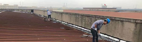 傳統商家水蜜桃成人网防水價格