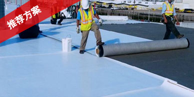 水蜜桃成人网屋麵係統防水